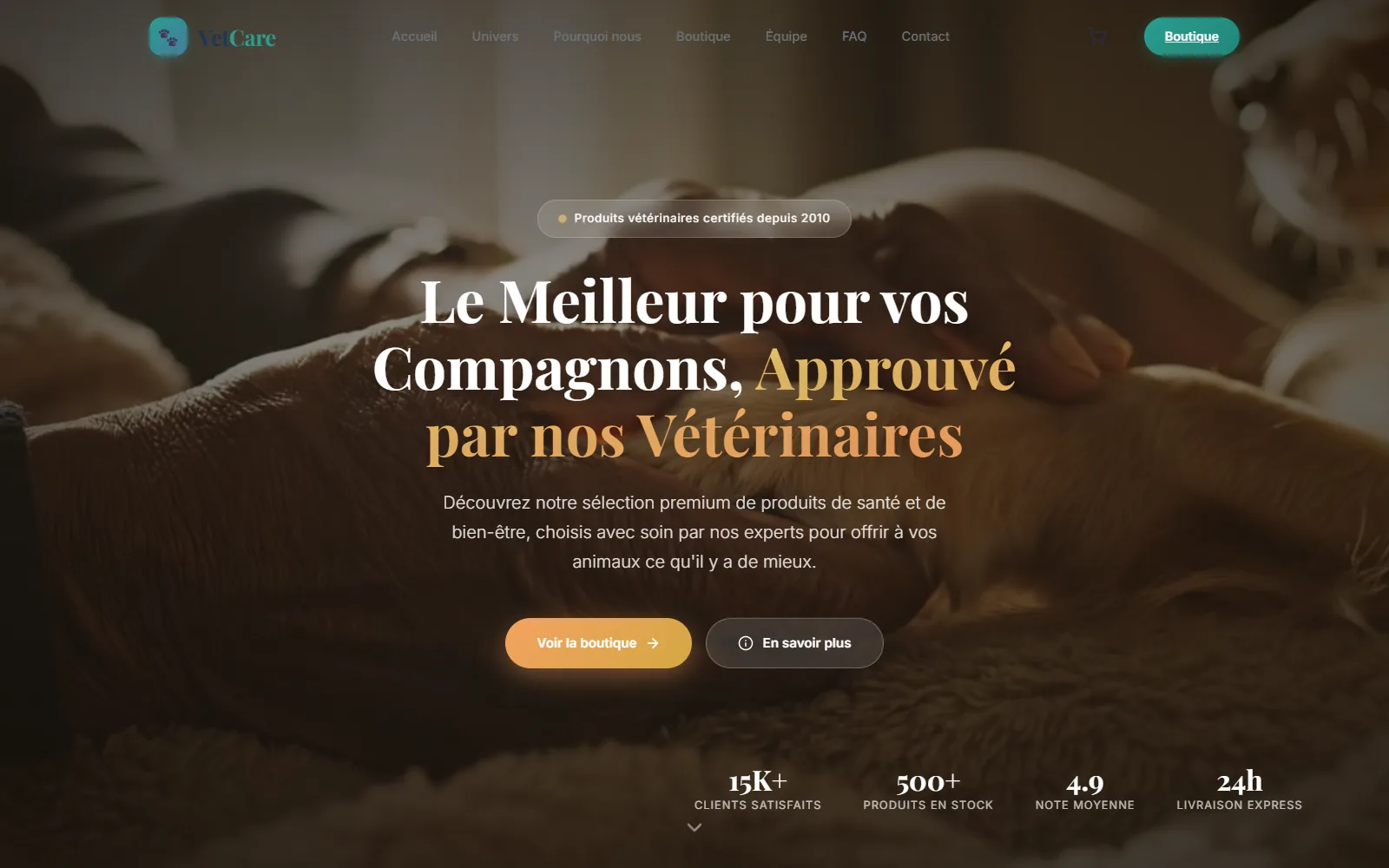 Maquette VetCare : « Le meilleur pour vos compagnons, approuvé par nos vétérinaires »